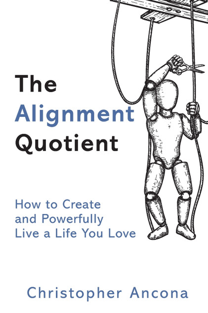 The Alignment Quotient The Alignment Quotient