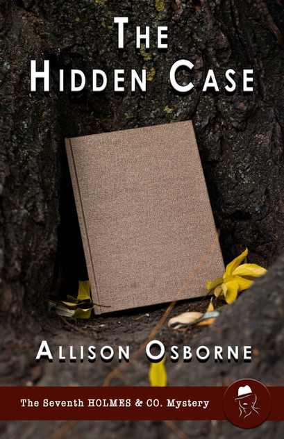 The Hidden Case The Hidden Case