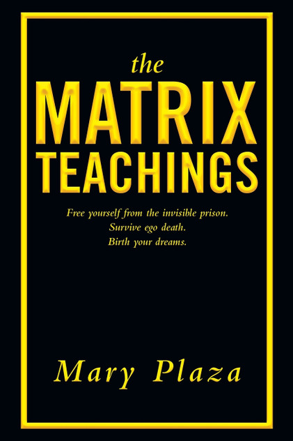 The Matrix Teachings