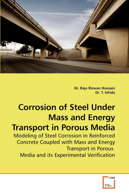 Corrosion of Steel Under Mass and Energy             Transport in Porous Media
