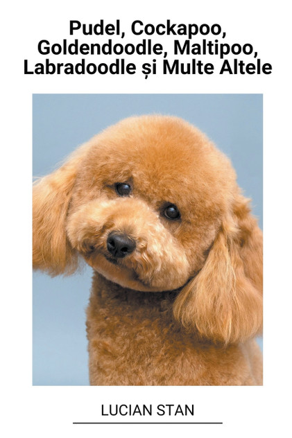 Pudel, Cockapoo, Goldendoodle, Maltipoo, Labradoodle și Multe Altele Pudel, Cockapoo, Goldendoodle, Maltipoo, Labradoodle și Multe Altele