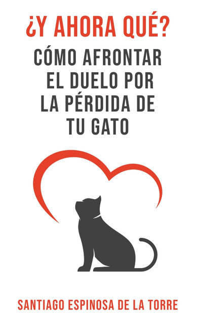 ¿Y ahora qué? ¿Y ahora qué?