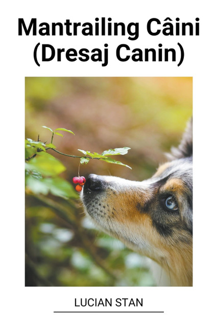 Mantrailing Câini (Dresaj Canin) Mantrailing Câini (Dresaj Canin)