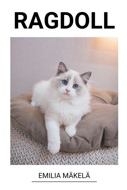 Ragdoll Ragdoll