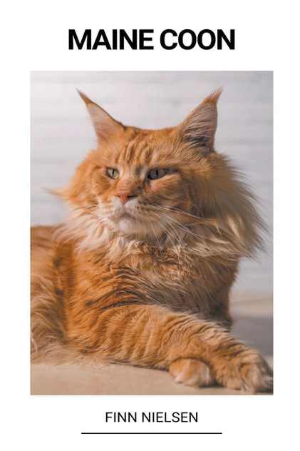 Maine Coon Maine Coon