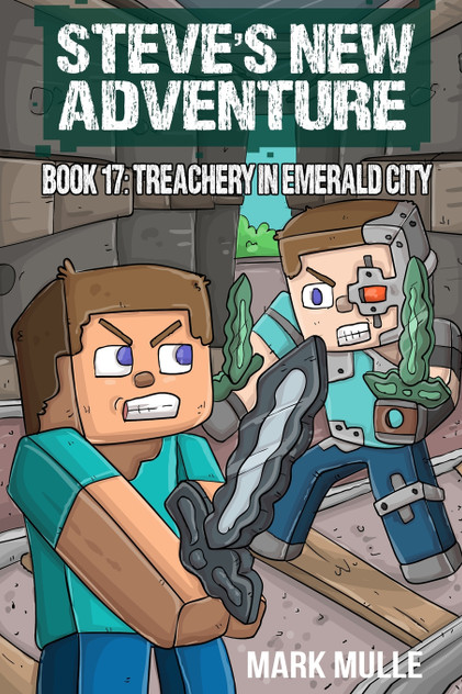 Steve's New Adventure Book 17 Steve's New Adventure Book 17
