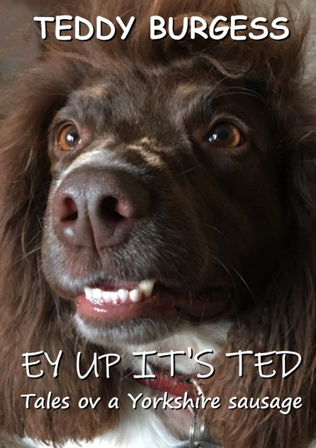 Ey Up It's Ted Ey Up It's Ted