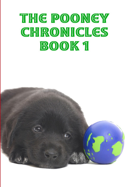 The Pooney Chronicles Book 1 The Pooney Chronicles Book 1