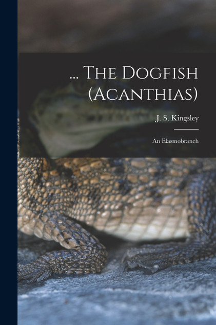 ... The Dogfish (Acanthias); an Elasmobranch ... The Dogfish (Acanthias); an Elasmobranch