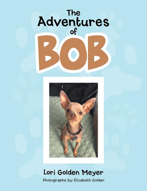 The Adventures of Bob The Adventures of Bob