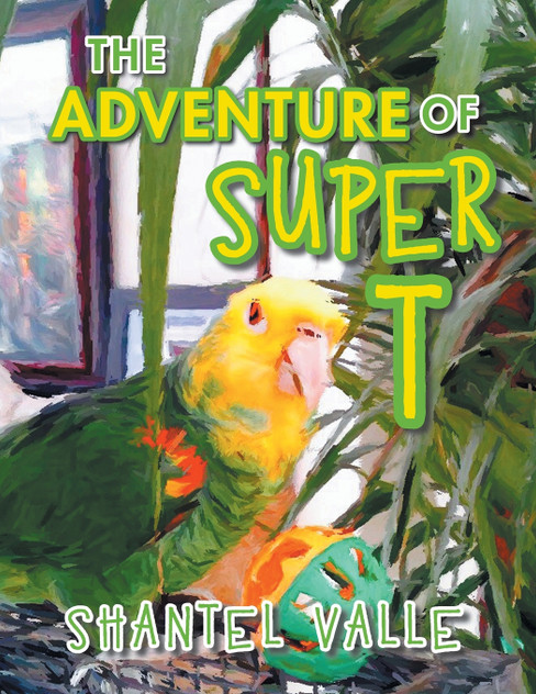 The Adventure of Super T The Adventure of Super T