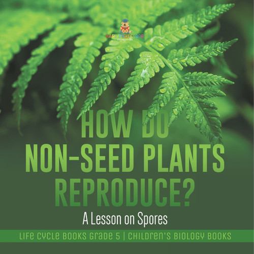 How Do Non-Seed Plants Reproduce? A Lesson on Spores | Life Cycle Books Grade 5 | Children's Biology Books How Do Non-Seed Plants Reproduce? A Lesson on Spores | Life Cycle Books Grade 5 | Children's Biology Books