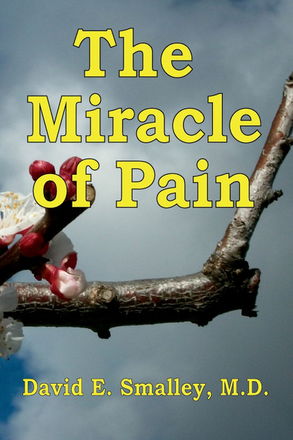 The Miracle of Pain The Miracle of Pain