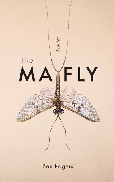 The Mayfly The Mayfly