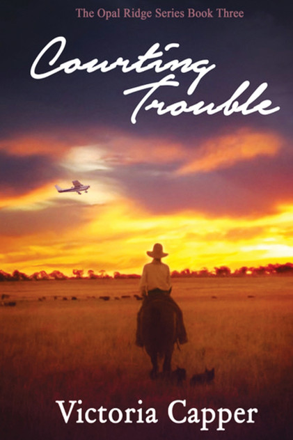 Courting Trouble
