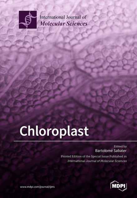 Chloroplast Chloroplast