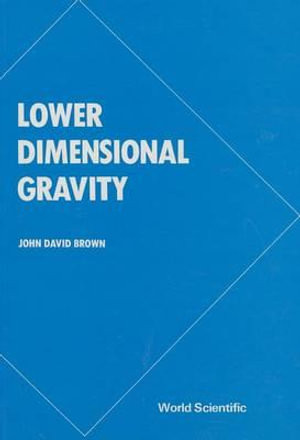 Lower Dimensional Gravity