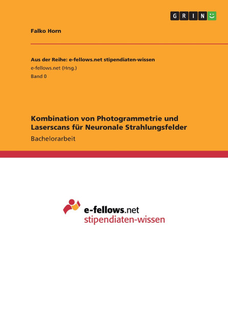 Kombination von Photogrammetrie und Laserscans für Neuronale Strahlungsfelder