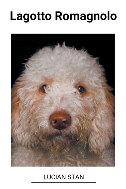 Lagotto Romagnolo Lagotto Romagnolo