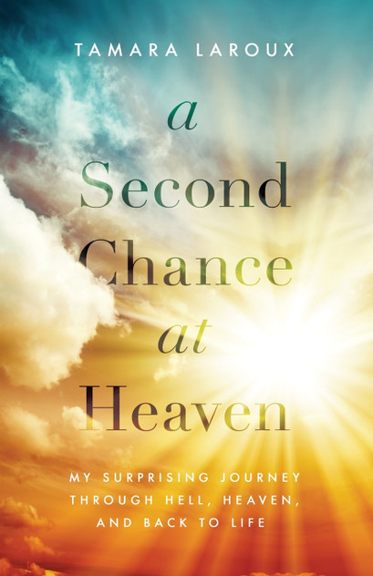 Second Chance at Heaven | Softcover