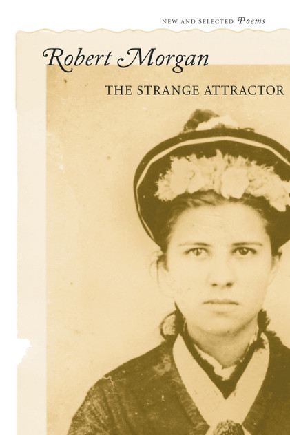 The Strange Attractor The Strange Attractor