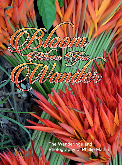 Bloom Where You Wander (Expanded, matte cover) Bloom Where You Wander (Expanded, matte cover)