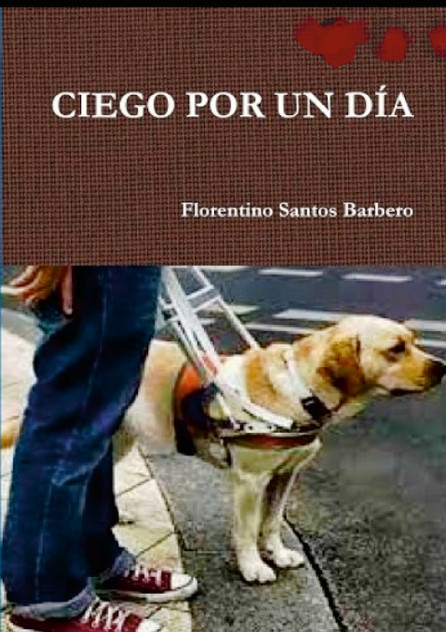 CIEGO POR UN DÍA