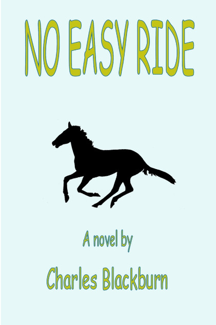 No Easy Ride No Easy Ride