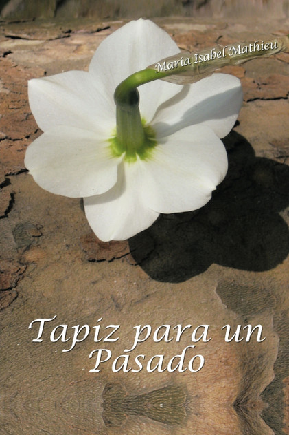 Tapiz Para Un Pasado Tapiz Para Un Pasado