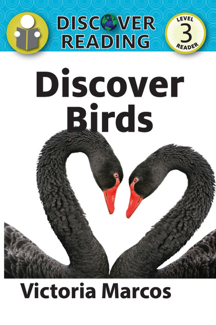Discover Birds Discover Birds