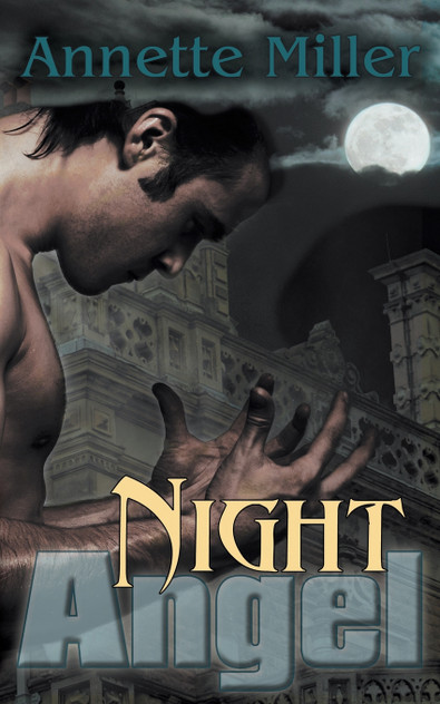 Night Angel Night Angel