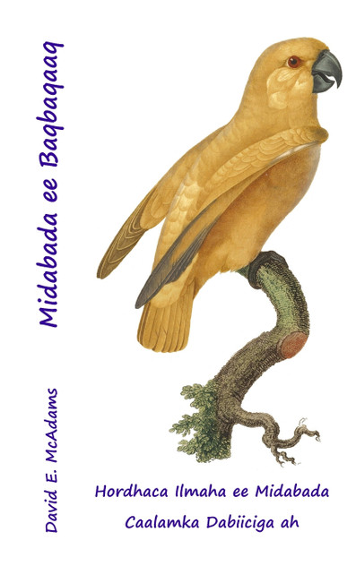 Midabada ee Baqbaqaaq