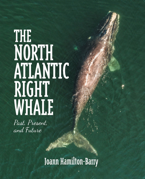 The North Atlantic Right Whale The North Atlantic Right Whale