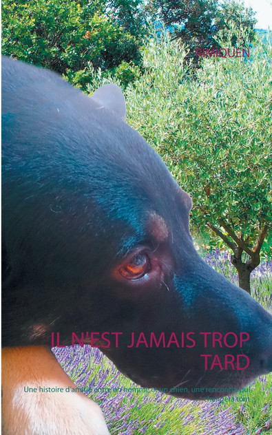 Il n'est jamais trop tard Il n'est jamais trop tard