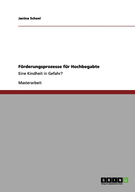 Förderungsprozesse für Hochbegabte
