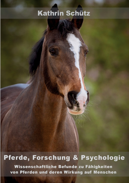 Pferde, Forschung & Psychologie