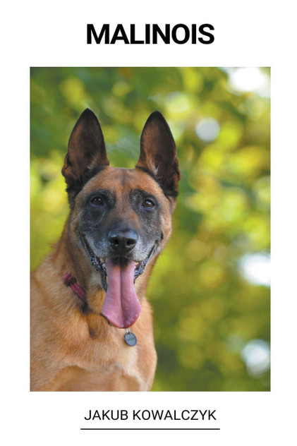 Malinois Malinois