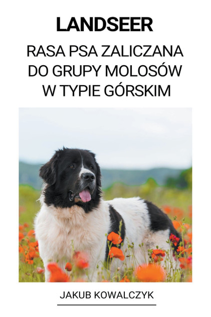 Landseer (Rasa Psa Zaliczana do Grupy Molosów w Typie Górskim) Landseer (Rasa Psa Zaliczana do Grupy Molosów w Typie Górskim)