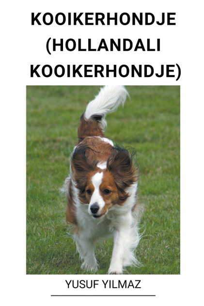 Kooikerhondje (Hollandalı Kooikerhondje) Kooikerhondje (Hollandalı Kooikerhondje)