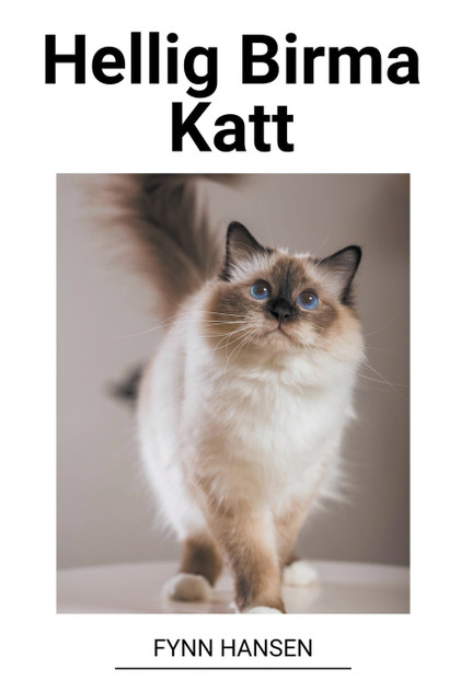 Hellig Birma Katt Hellig Birma Katt