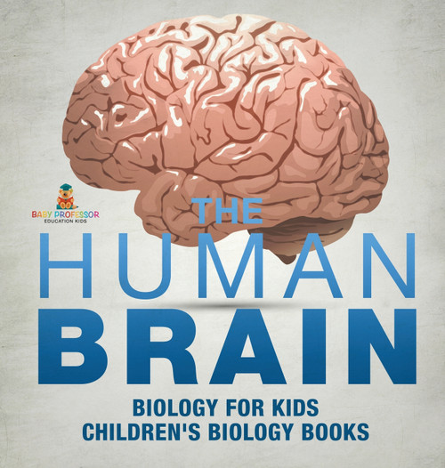 The Human Brain - Biology for Kids | Children's Biology Books The Human Brain - Biology for Kids | Children's Biology Books