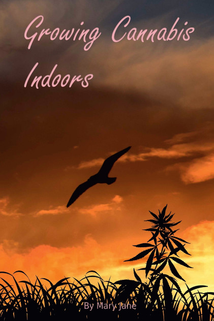 Growing Cannabis Indoors Growing Cannabis Indoors