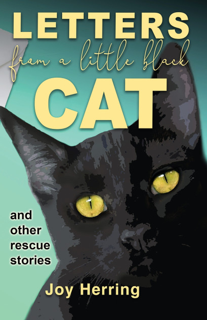 Letters from a Little Black Cat Letters from a Little Black Cat