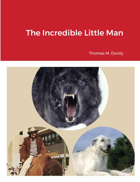 The Incredible Little Man The Incredible Little Man