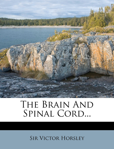 The Brain and Spinal Cord... The Brain and Spinal Cord...