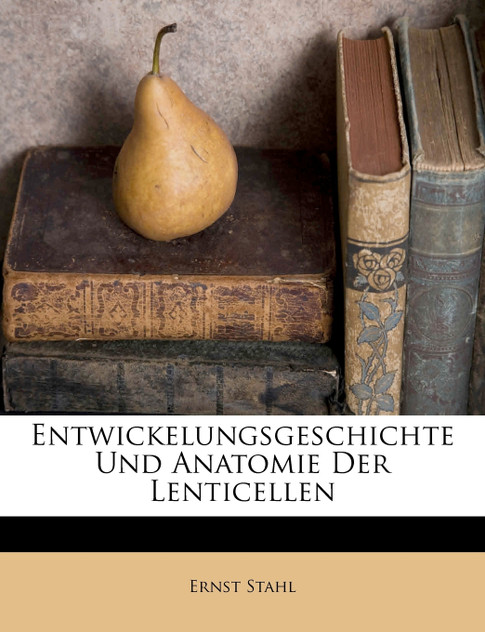 Entwickelungsgeschichte Und Anatomie Der Lenticellen