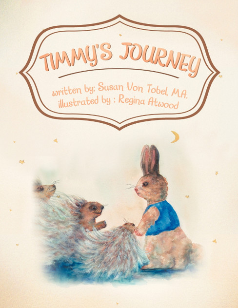 Timmy's Journey Timmy's Journey