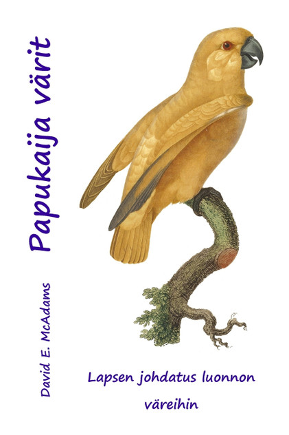 Papukaija värit Papukaija värit