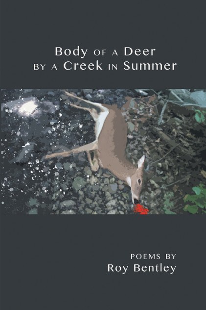Body of a Deer by a Creek in Summer Body of a Deer by a Creek in Summer