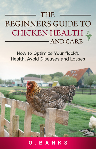 The Beginners Guide to Chicken Health and Care The Beginners Guide to Chicken Health and Care